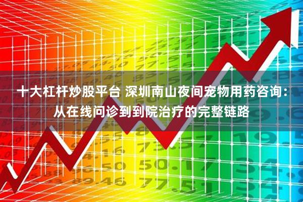 十大杠杆炒股平台 深圳南山夜间宠物用药咨询：从在线问诊到到院治疗的完整链路