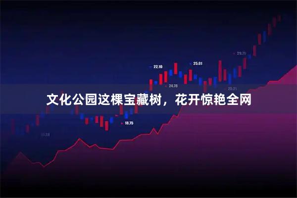 文化公园这棵宝藏树，花开惊艳全网