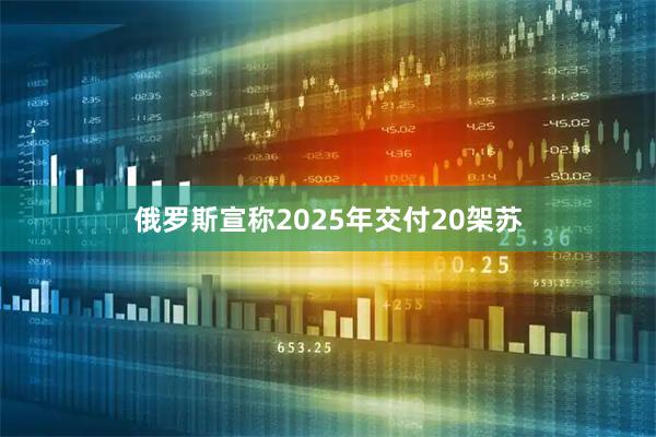 俄罗斯宣称2025年交付20架苏
