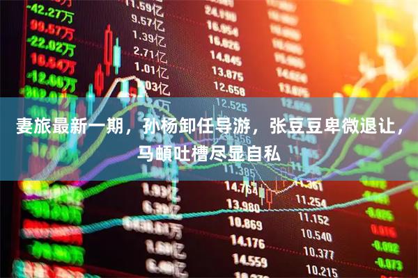 妻旅最新一期，孙杨卸任导游，张豆豆卑微退让，马頔吐槽尽显自私