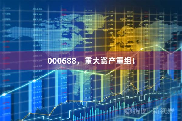000688,重大资产重组!